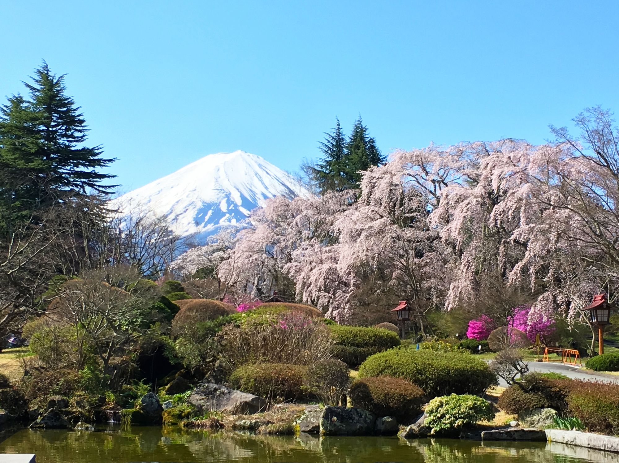 Фото Fuji View Hotel