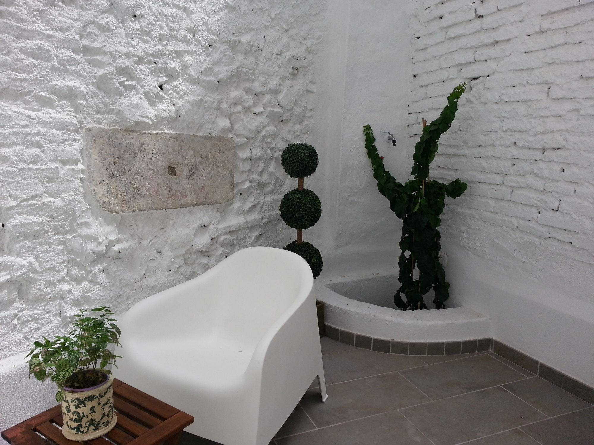 Фото La Siesta Málaga Guesthouse