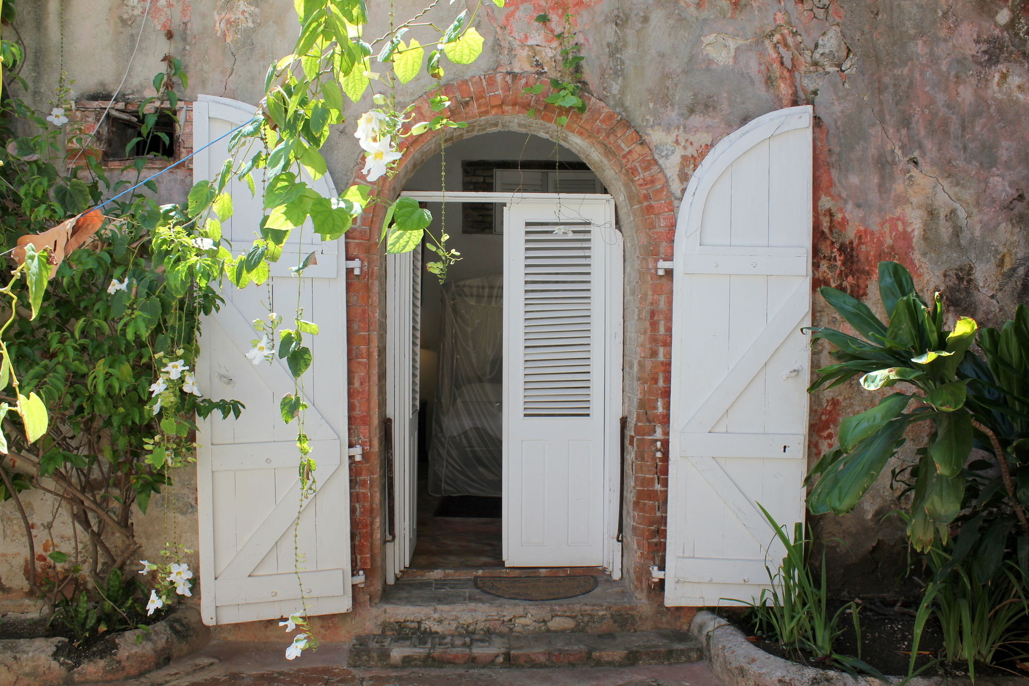 Фото Hotel Florita