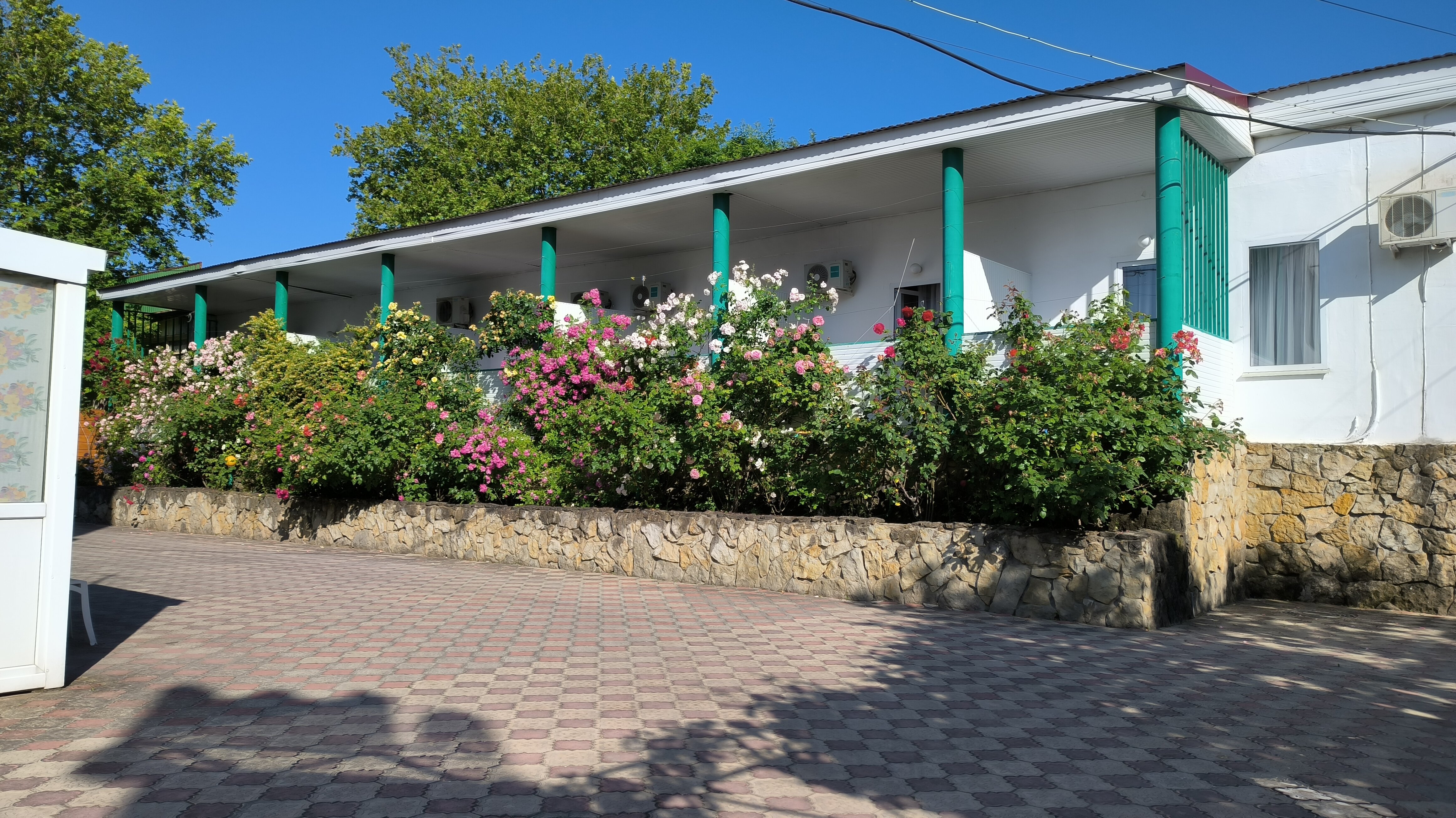 Фото Южная ночь