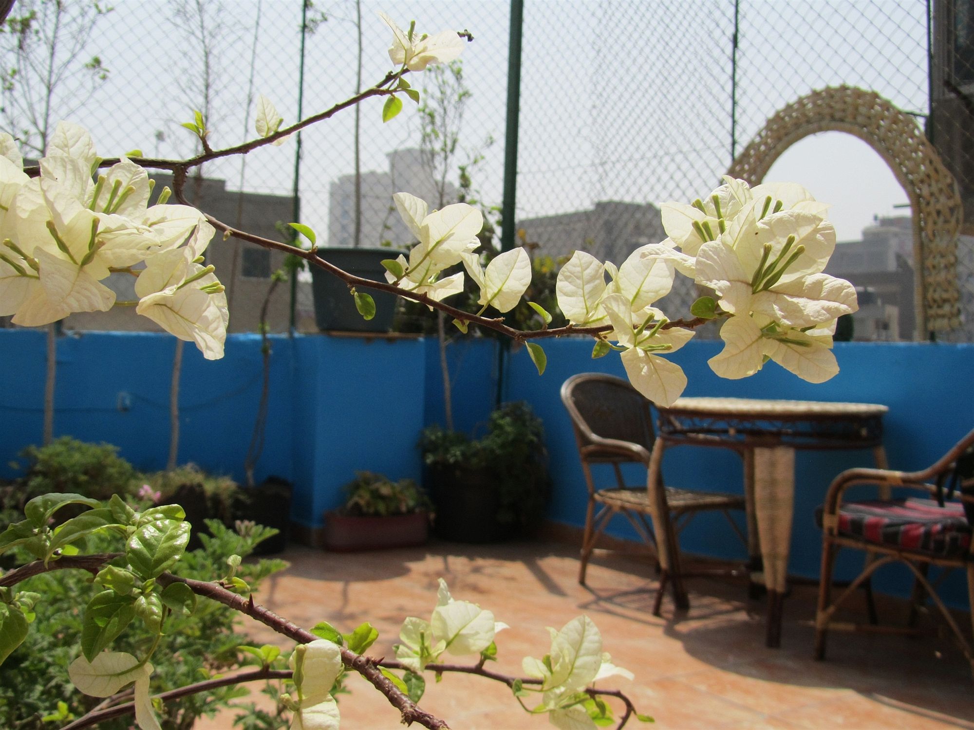 Фото Arabian Nights