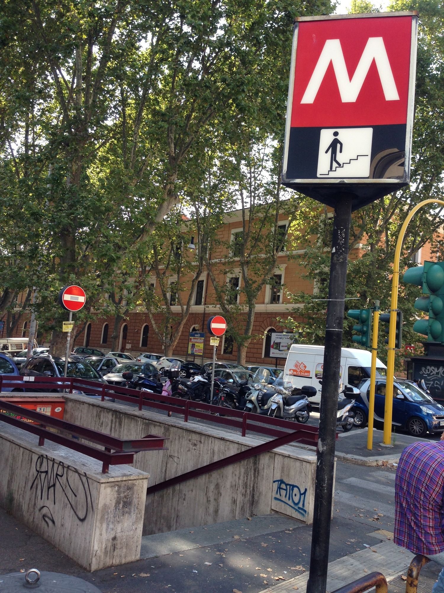 Фото New Paradise