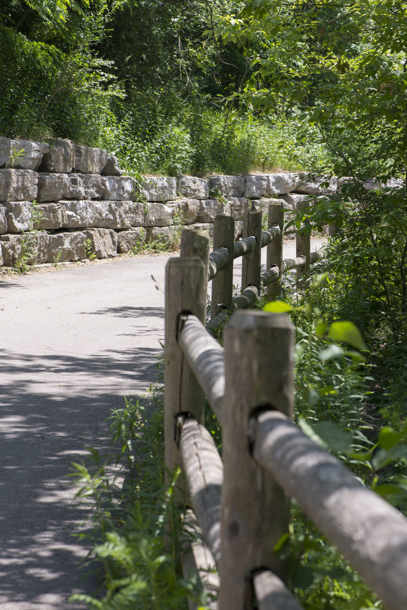 Фото Toronto Don Valley Hotel and Suites