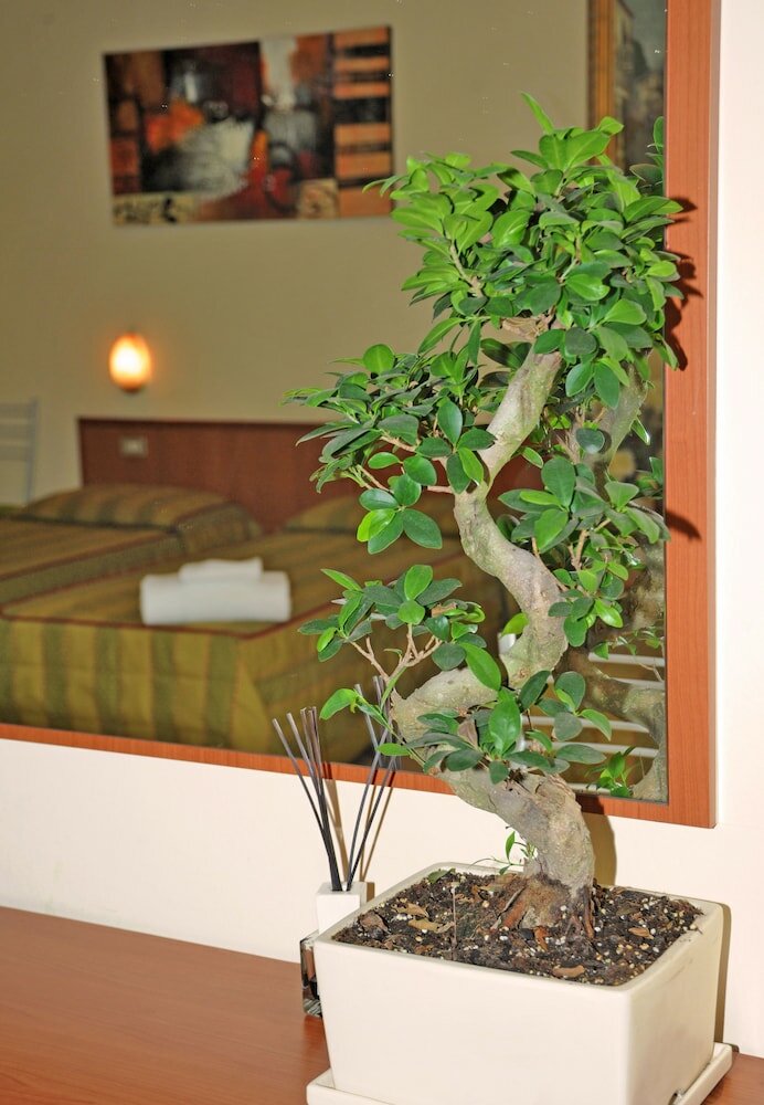 Фото Hotel San Siro Fiera