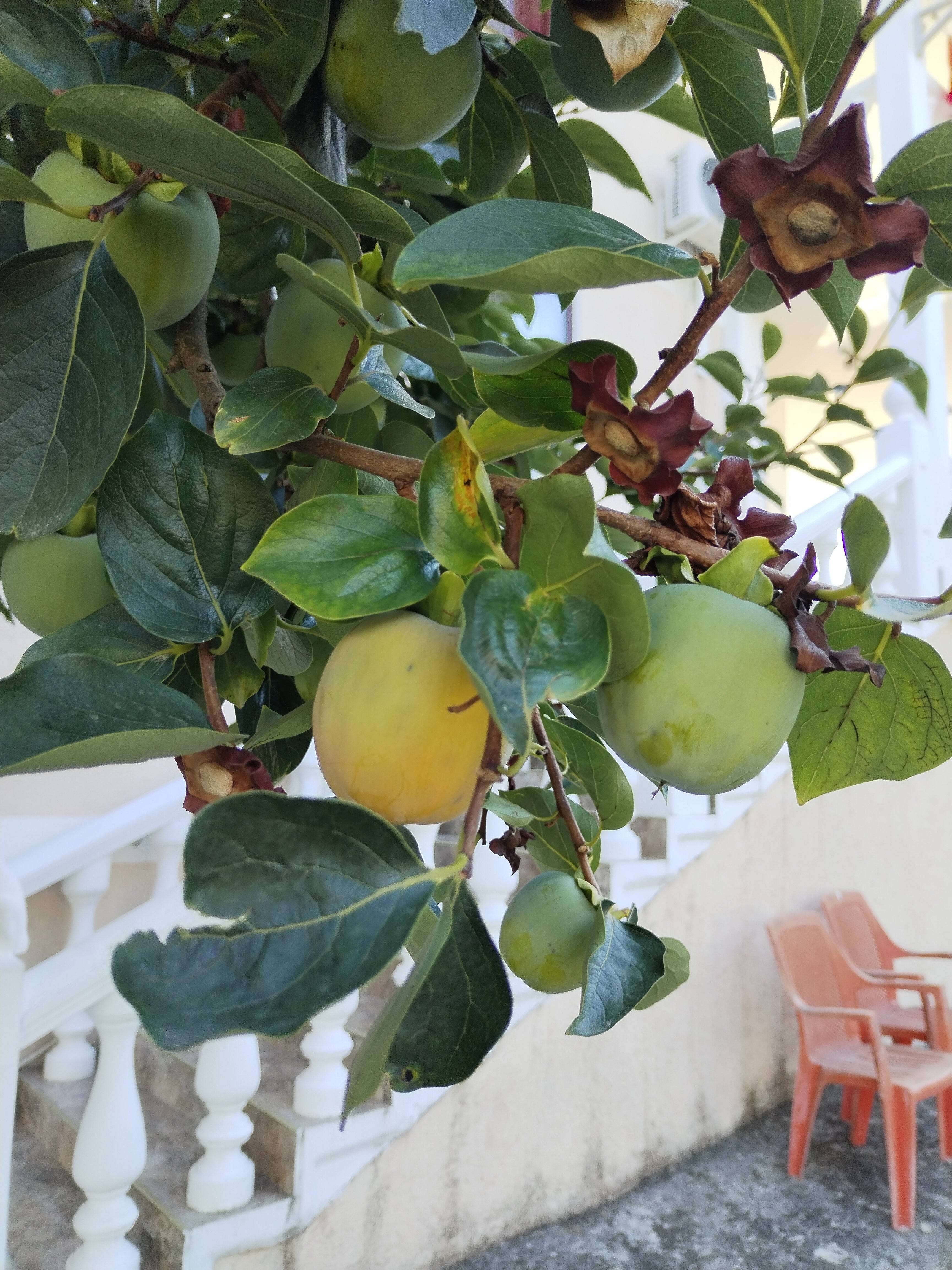 Фото У моря