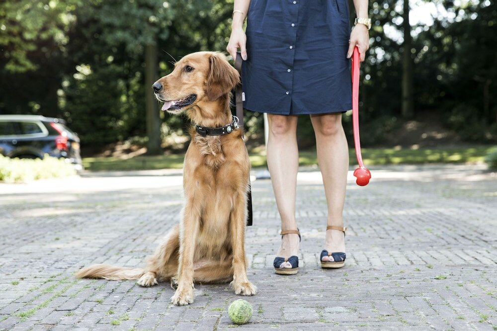 Фото Hotel Parkzicht Eindhoven