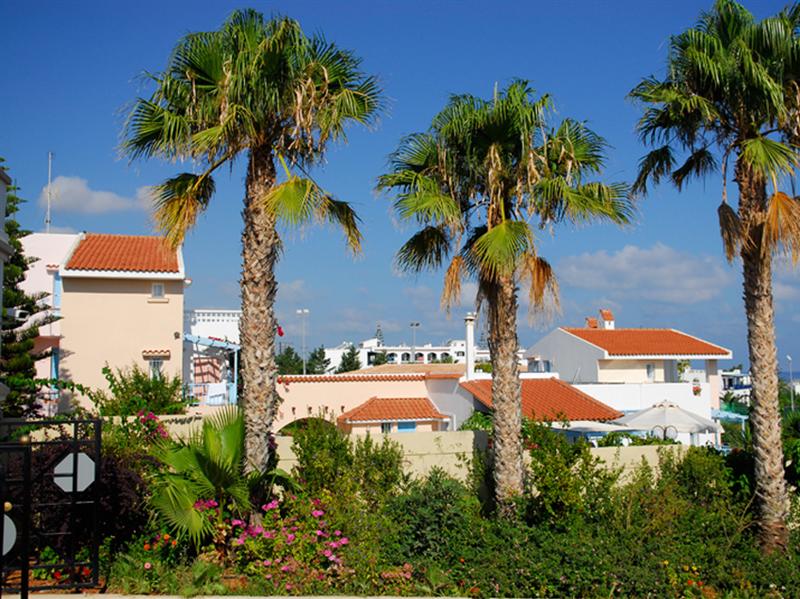 Фото Golden Dream Apartments