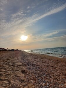 У Петровича