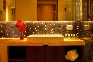 Гостиница The Metropolitan Hotel and SPA New Delhi