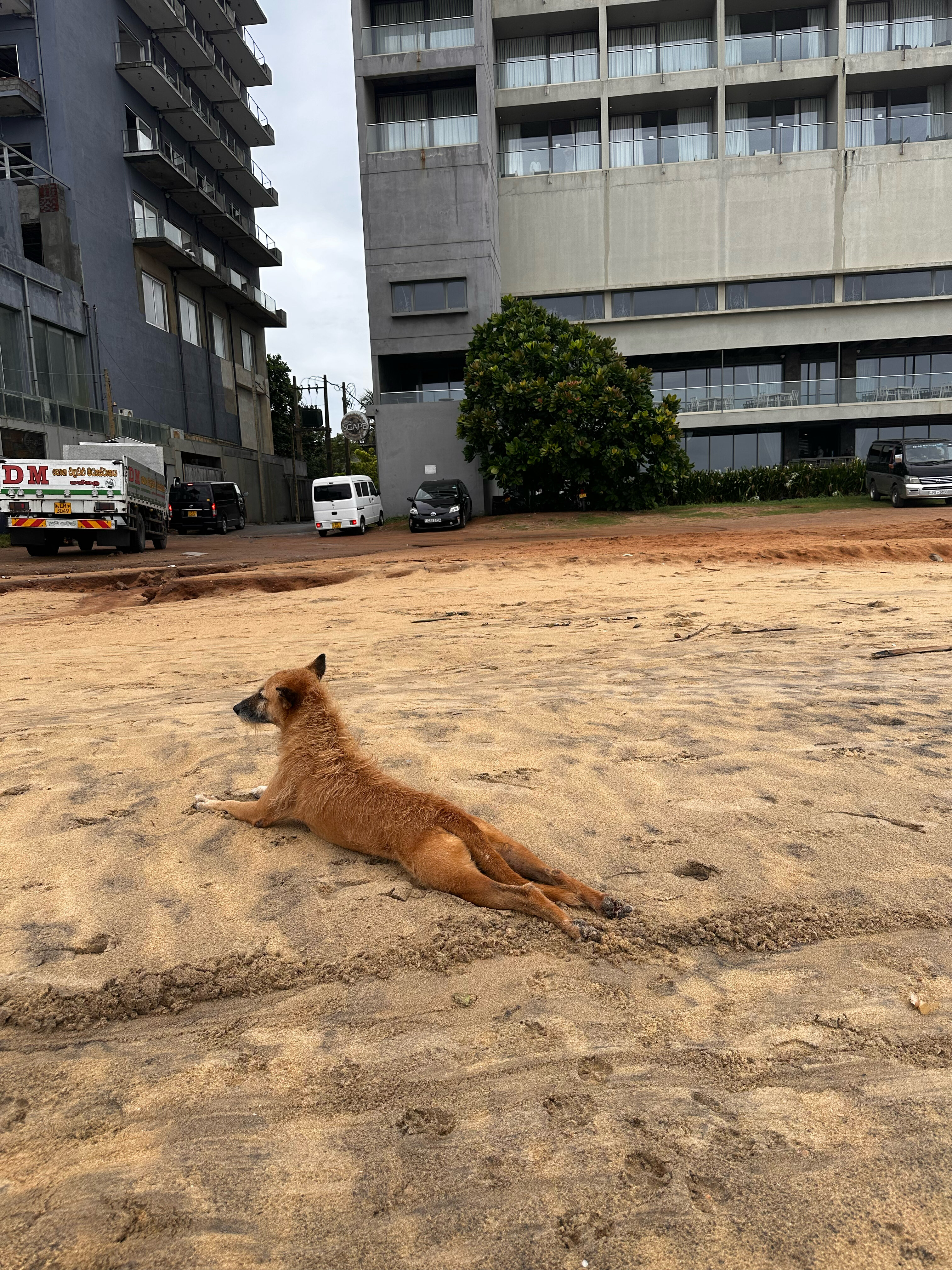 Фото Regal Réseau Hotel & SPA