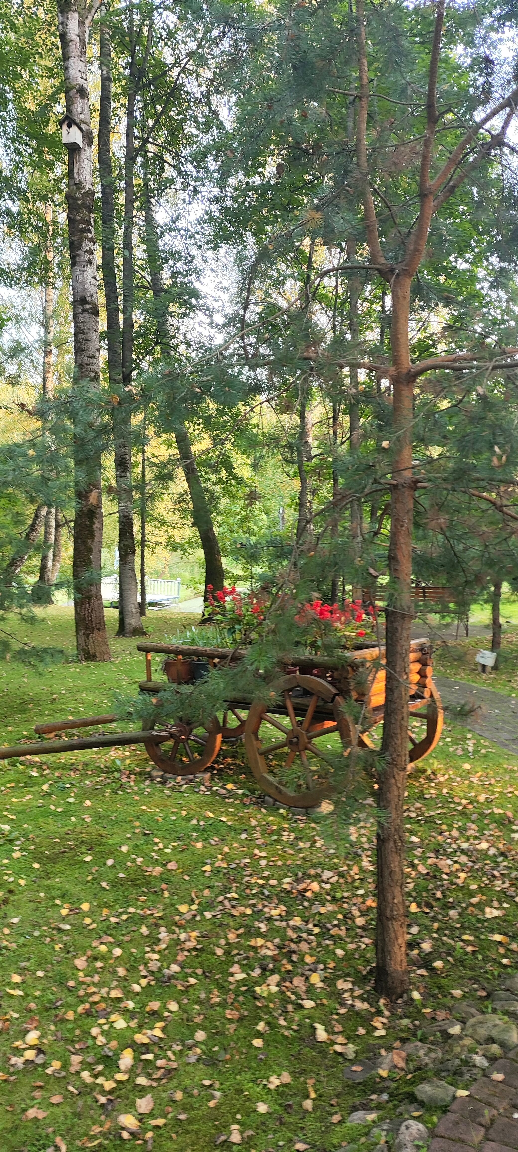 Фото Indie House