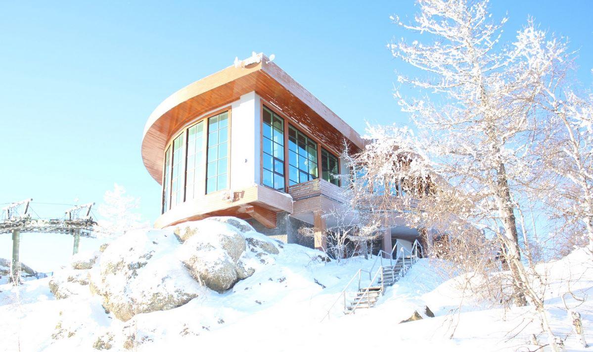 Фото Берёзки