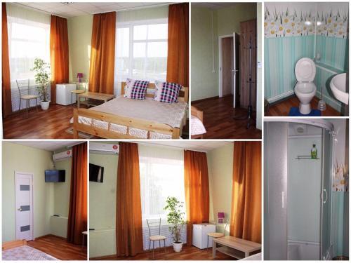 Фото Ромашка