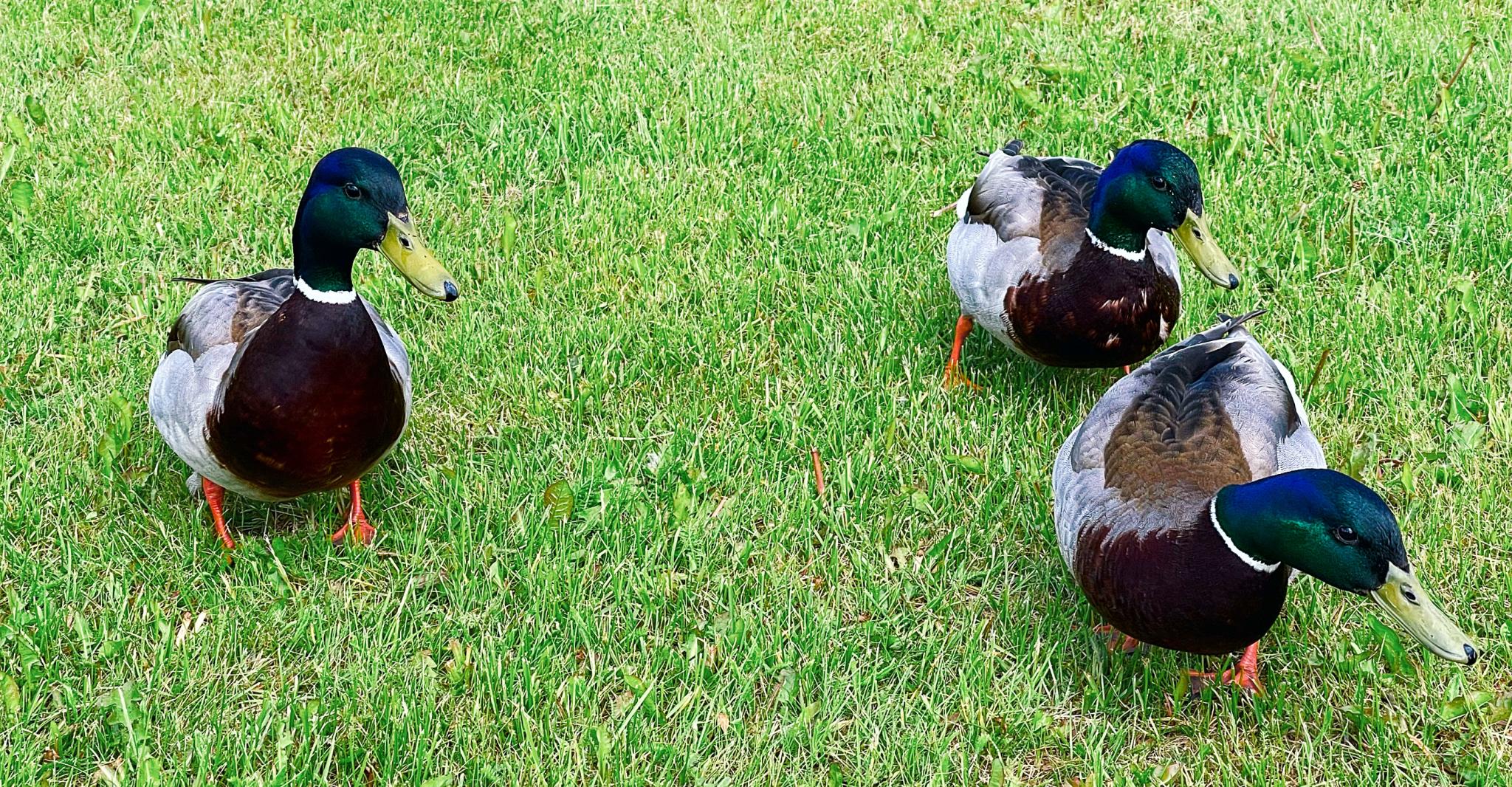 Фото Дом на Валдае