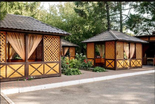 Фото Разгуляй