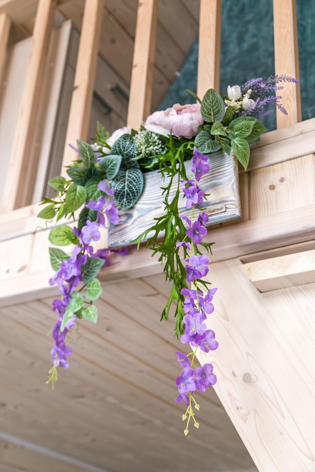 Фото СвяДанио