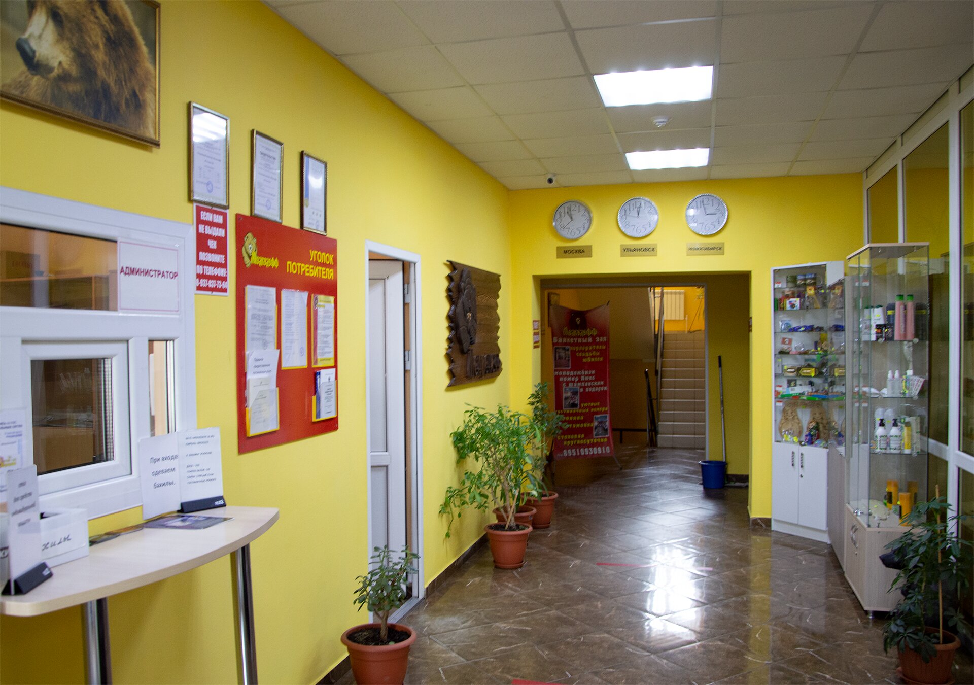 Фото Медведефф