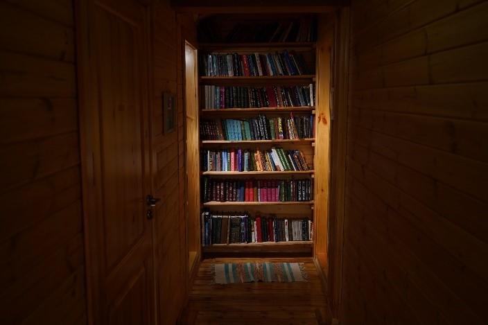 Фото Альтаир