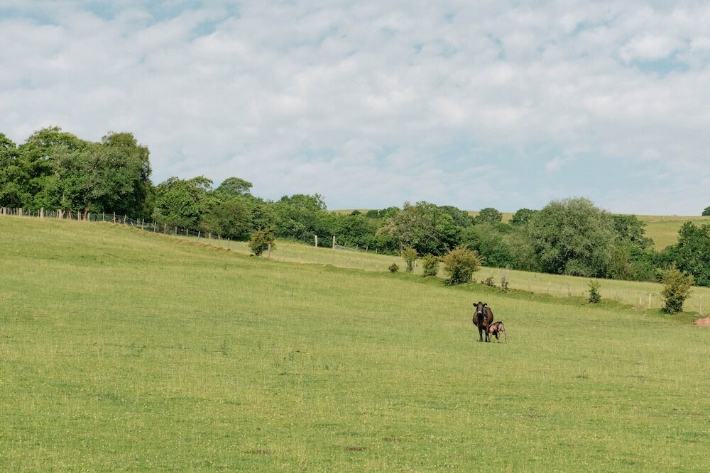 Фото Alltybrain Farm Cottages and B&b