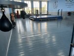 Отделение по единоборствам (ulitsa Vladykina, 9), club deportivo, sección