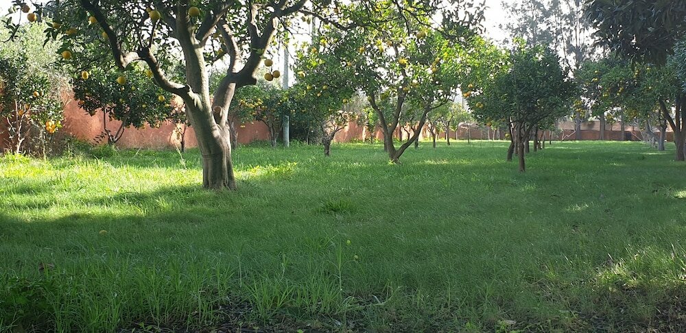 Фото Quinta das Origens