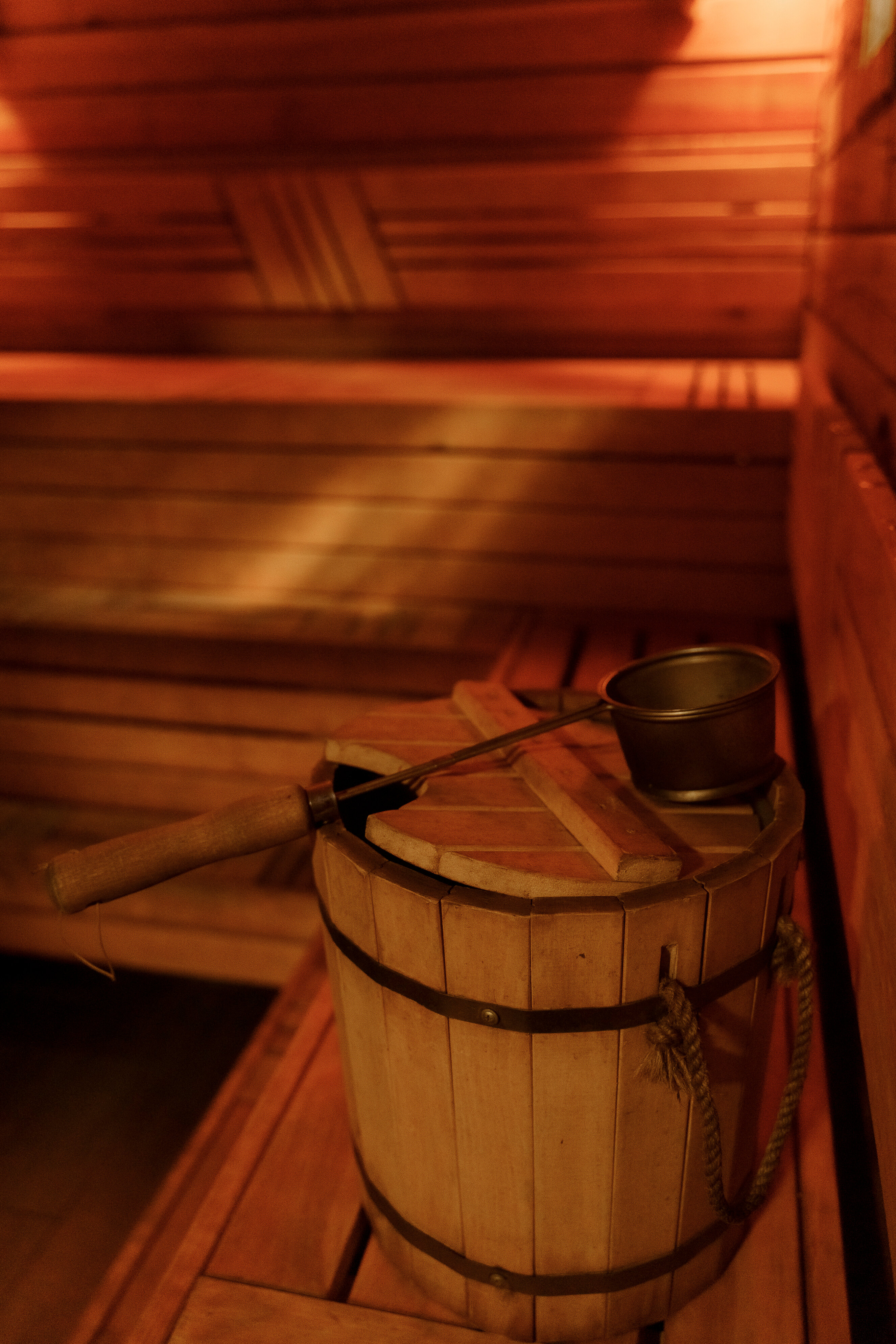 Фото Еловый лис