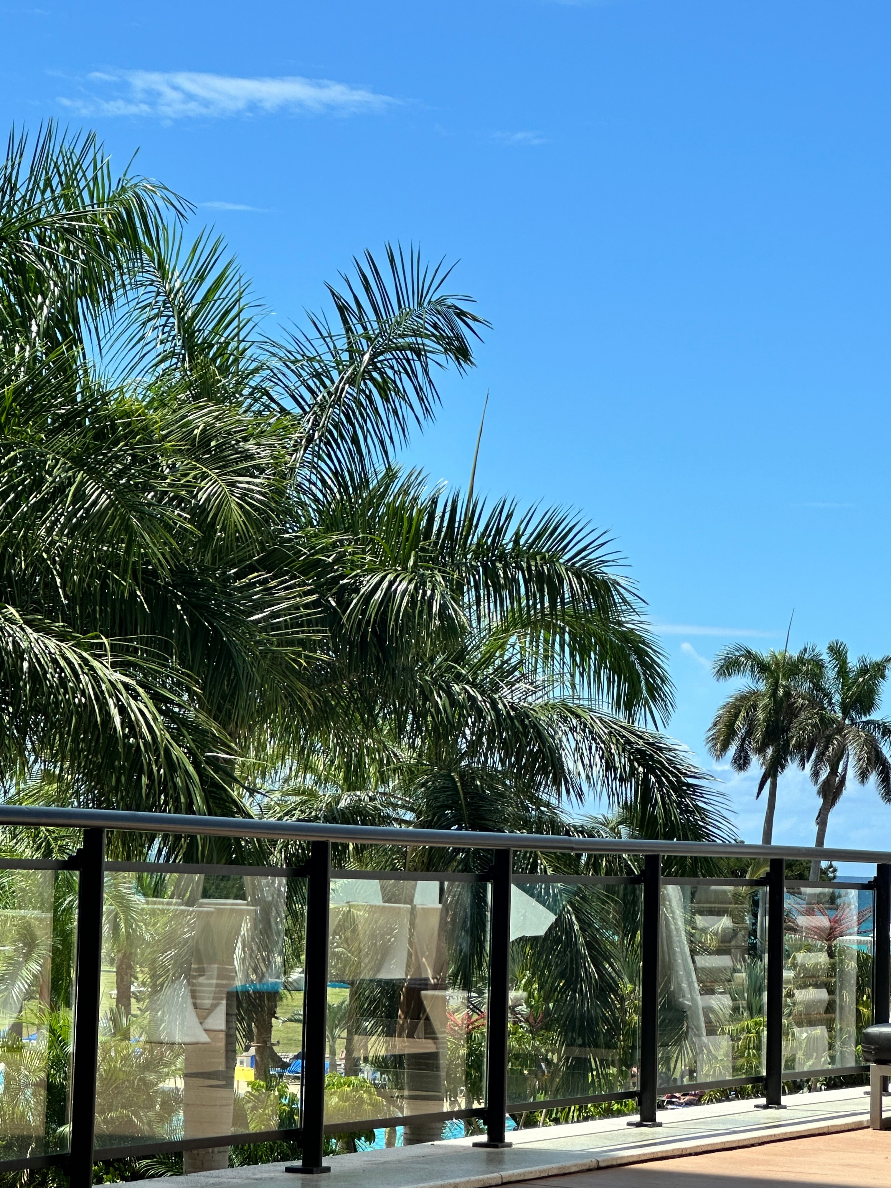 Фото Melia Internacional