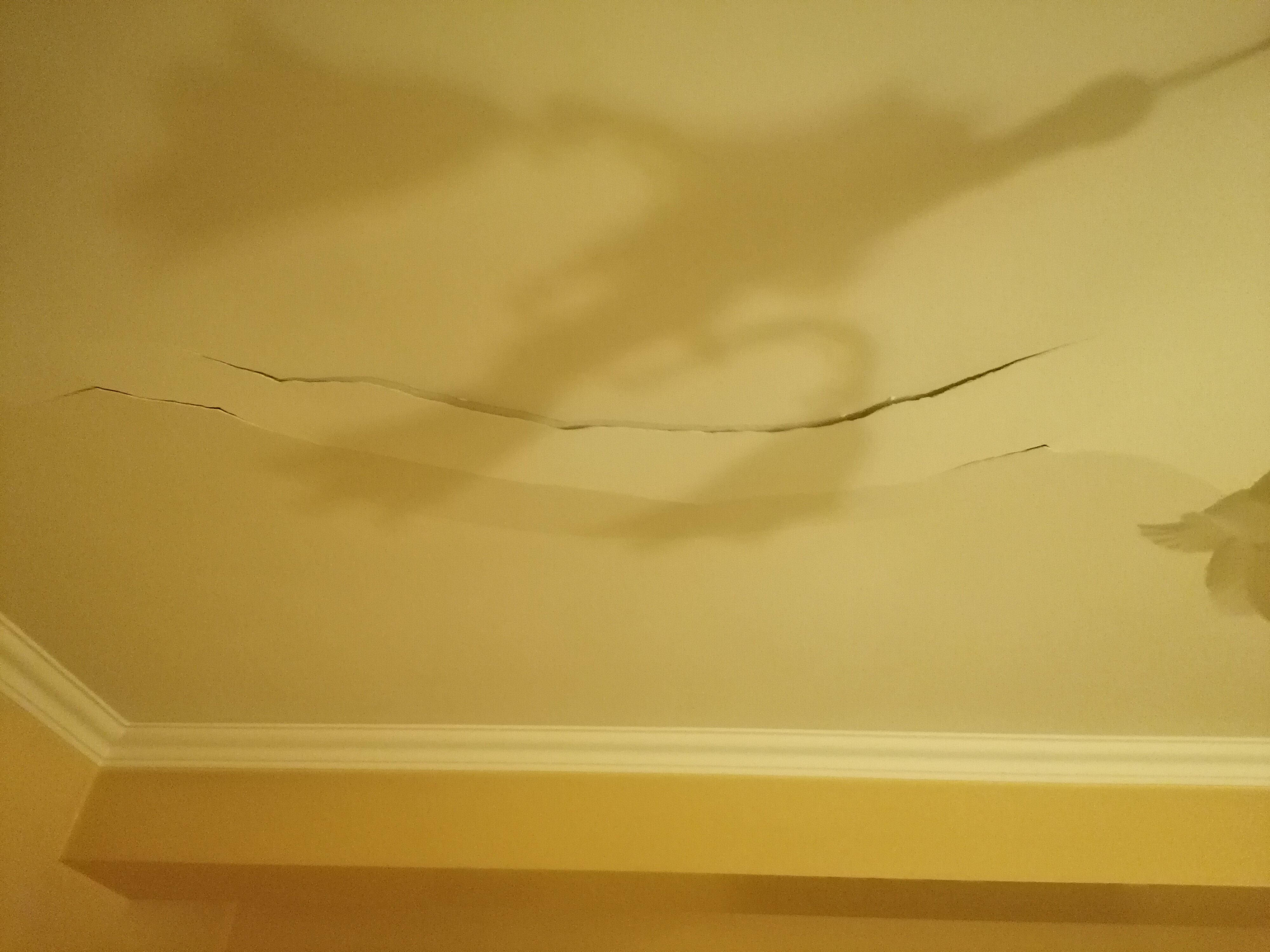 Фото Family Hotel Silvestar