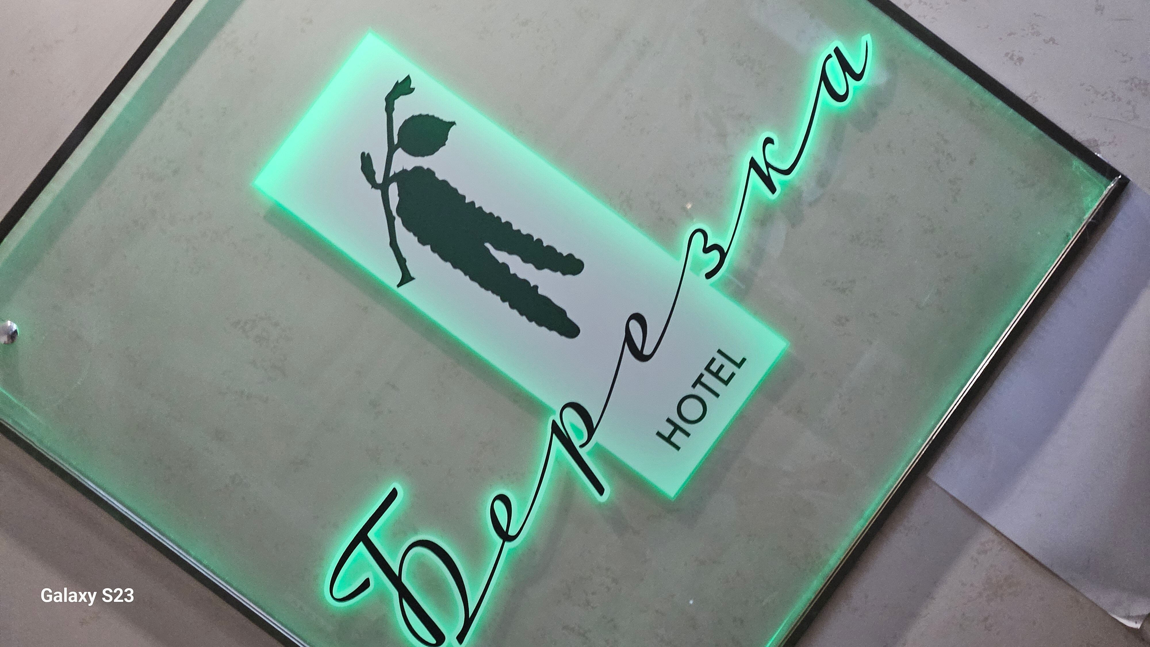 Фото Берёзка