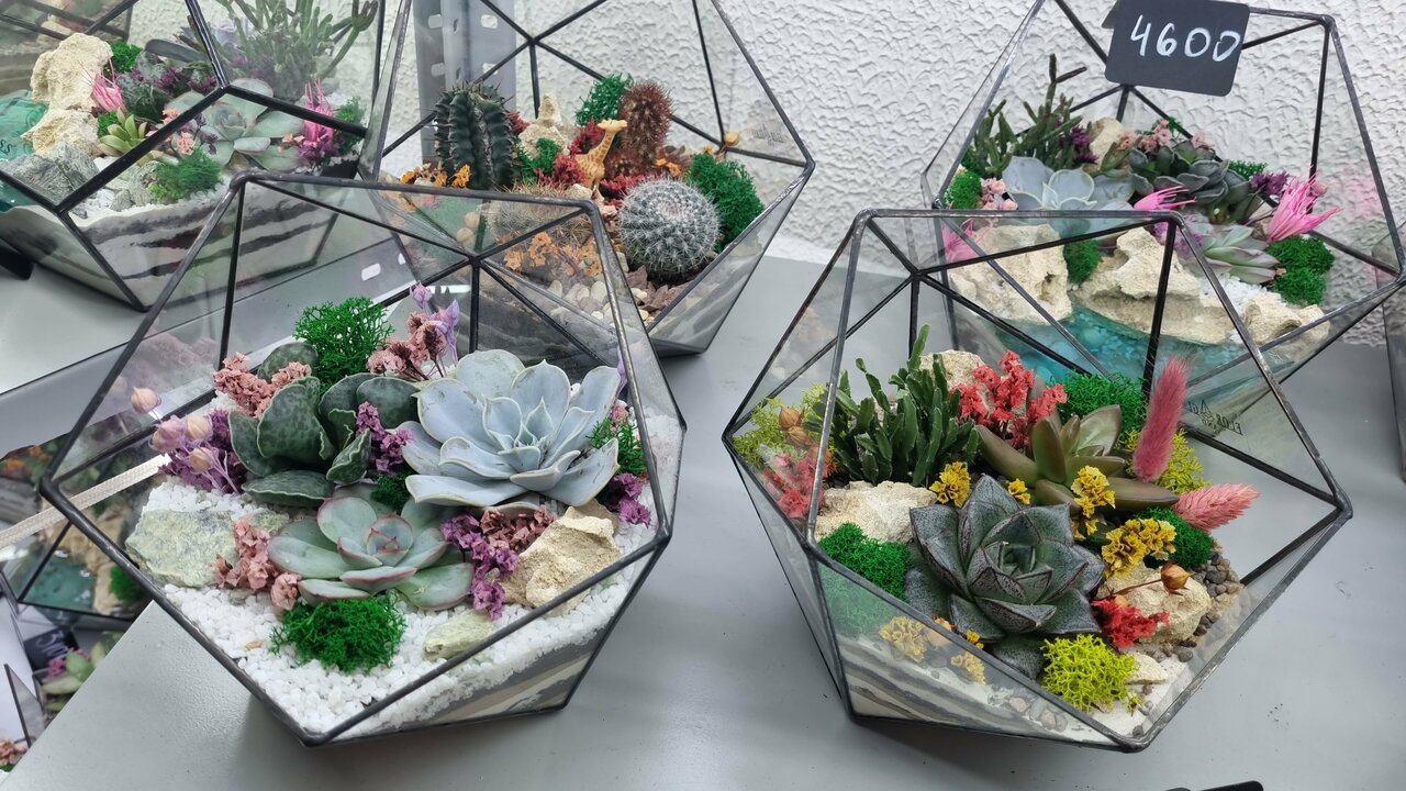 «Магазины цветов с наградой «Хорошее место» на «Курской»» фото материала