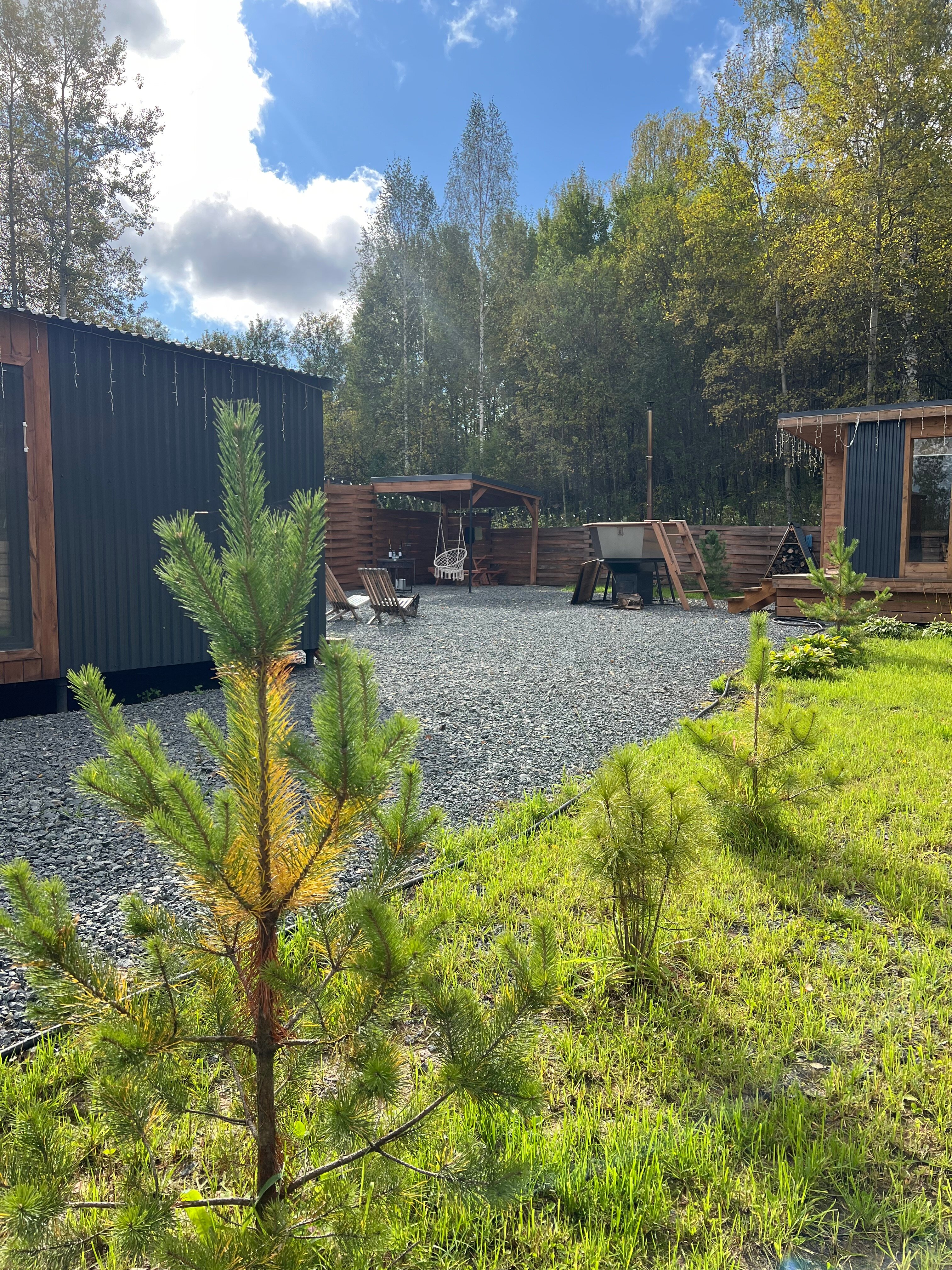 Фото Шёпот леса