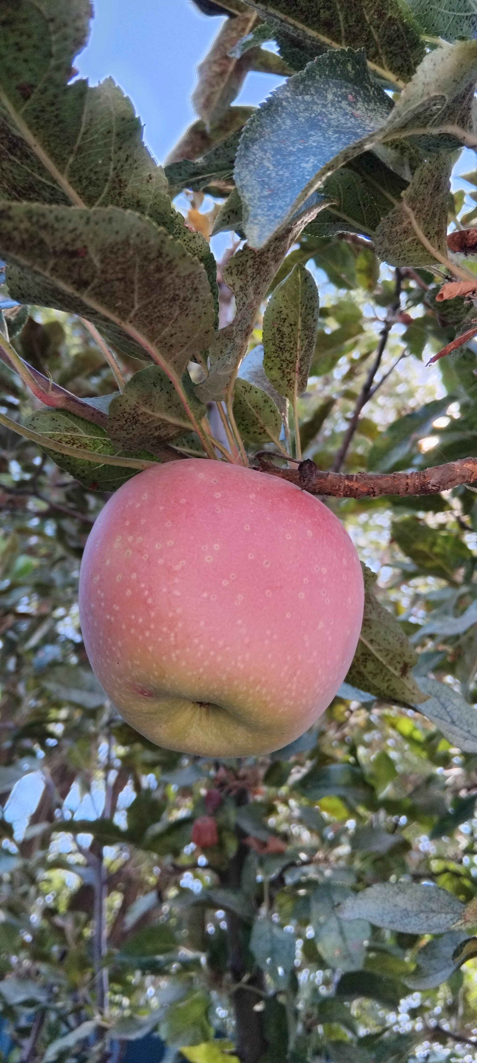 Фото Атмосфера