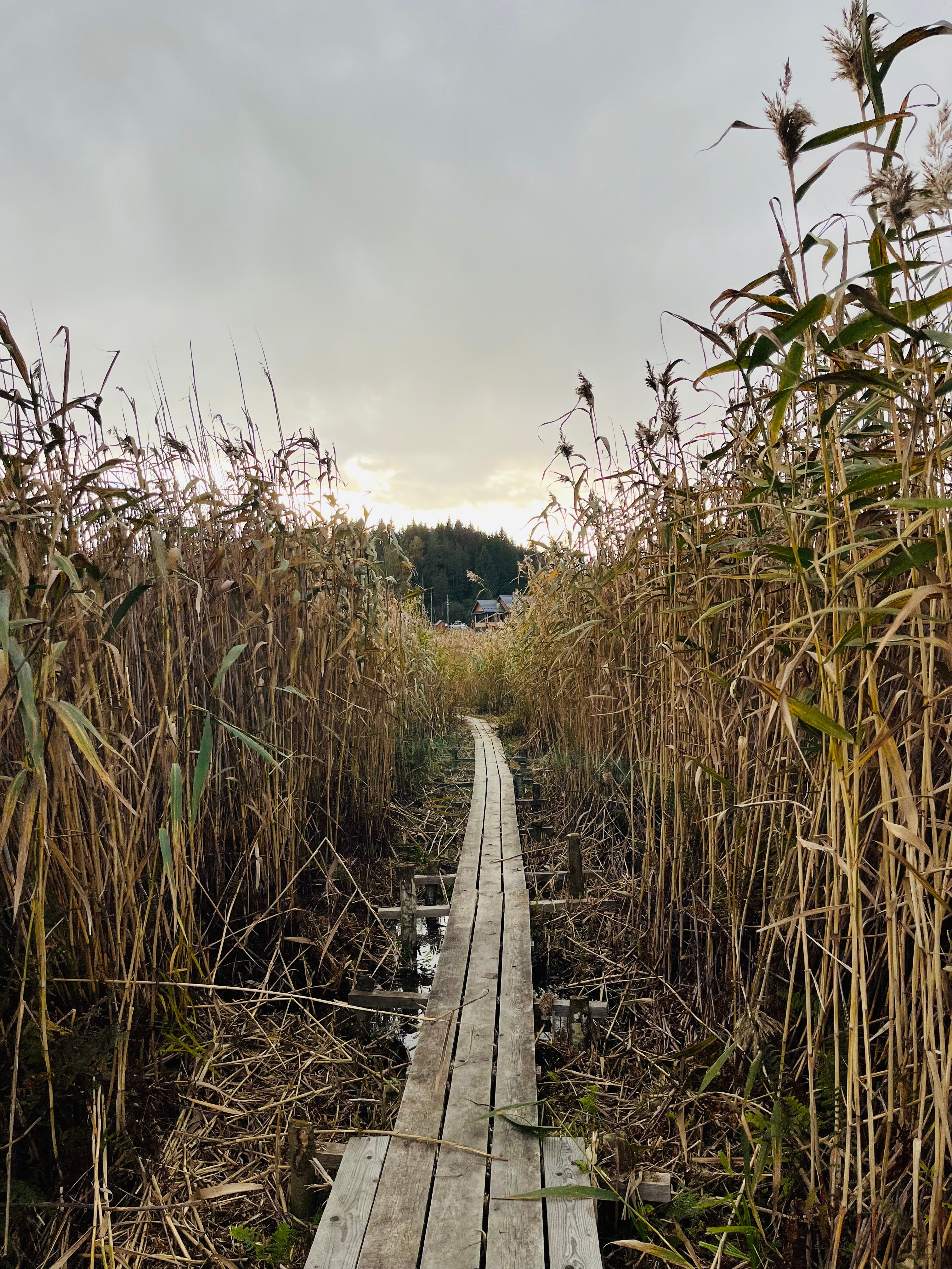 Фото Киркколампи