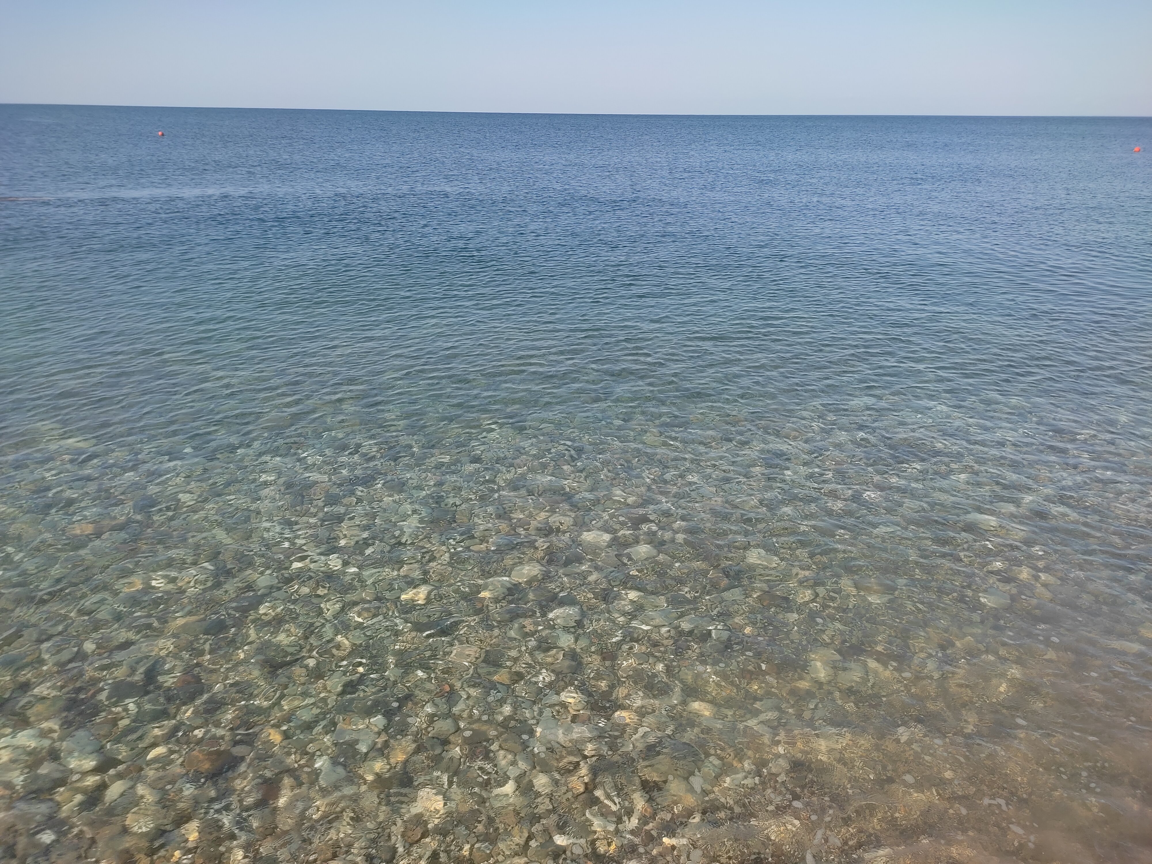 Фото Дружба