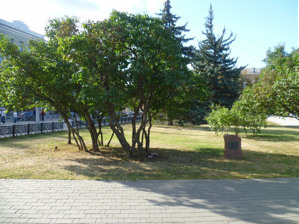 Monument, memorial Памятный знак Сирень Победы, Tula, photo