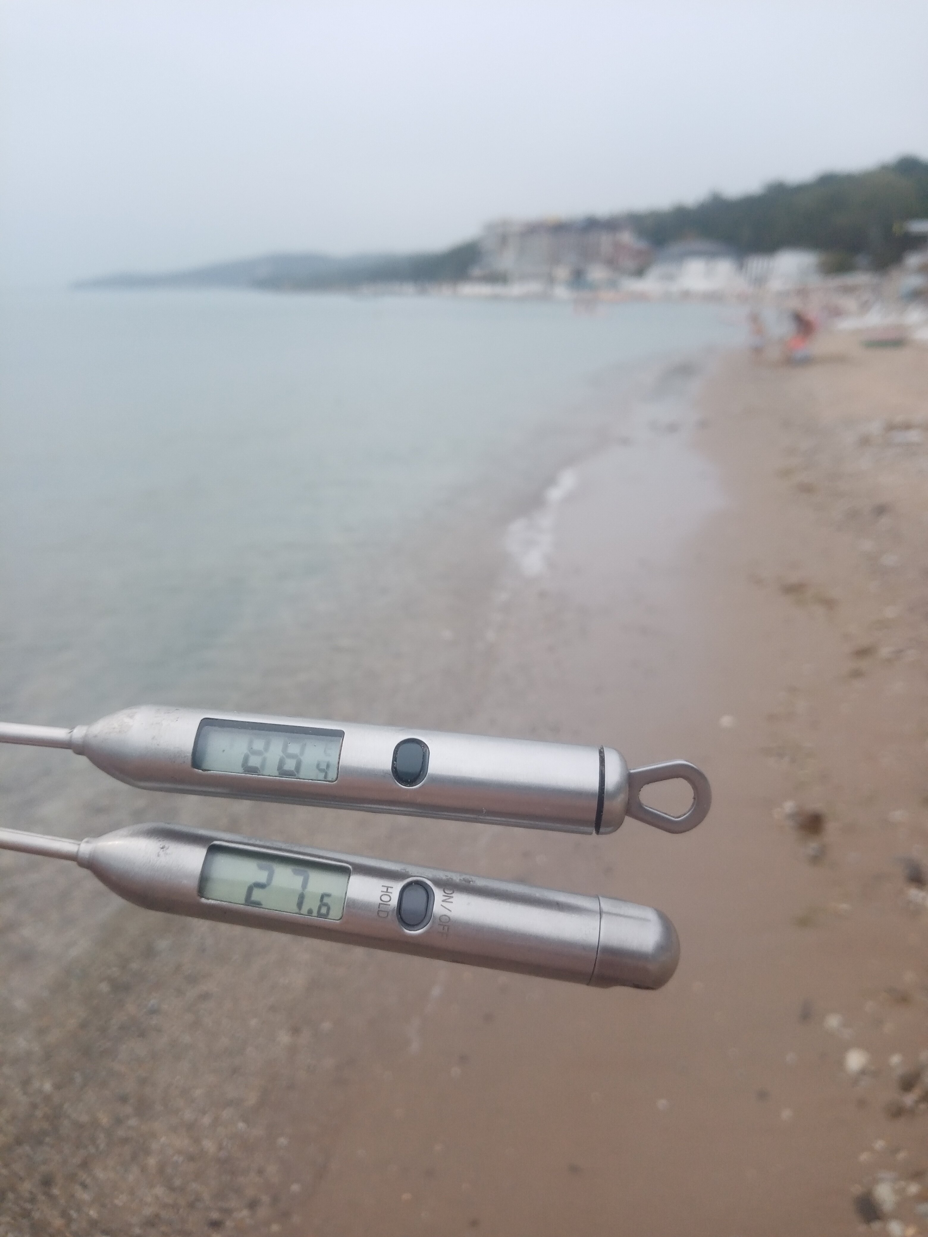 Фото Мироген