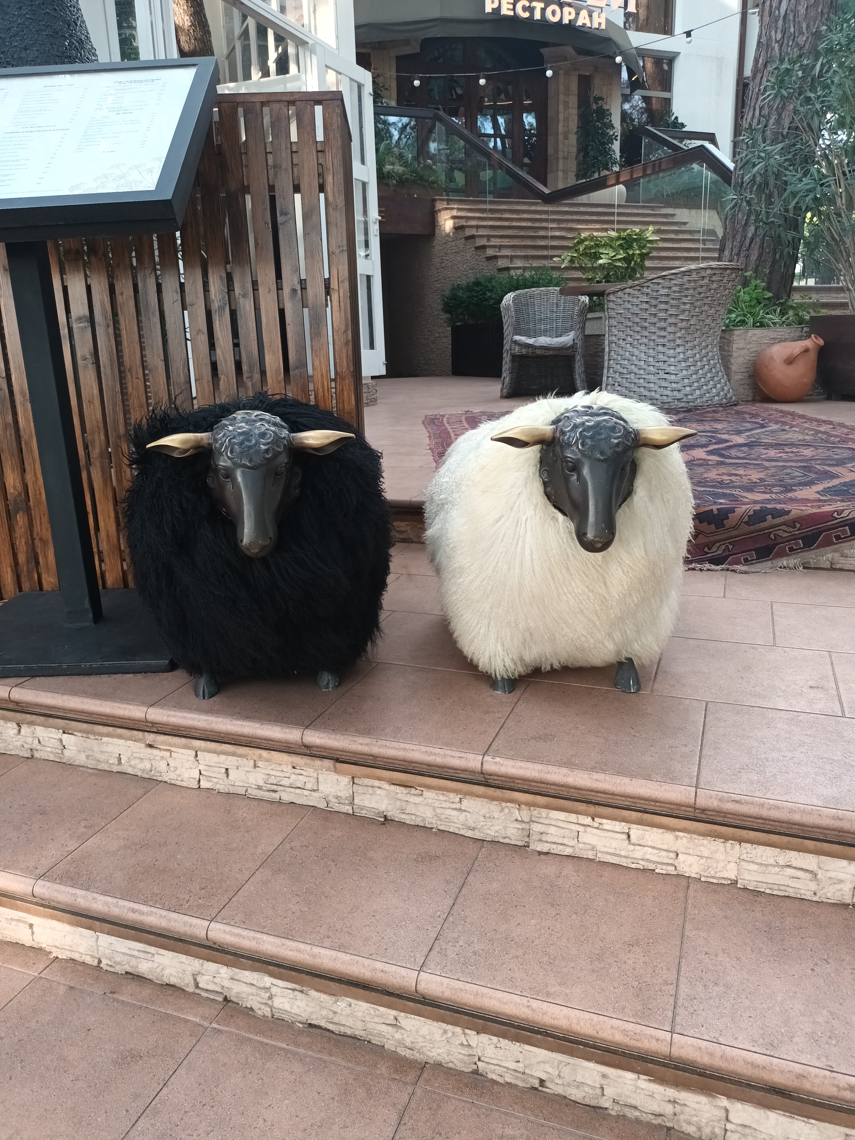 Фото Карфаген