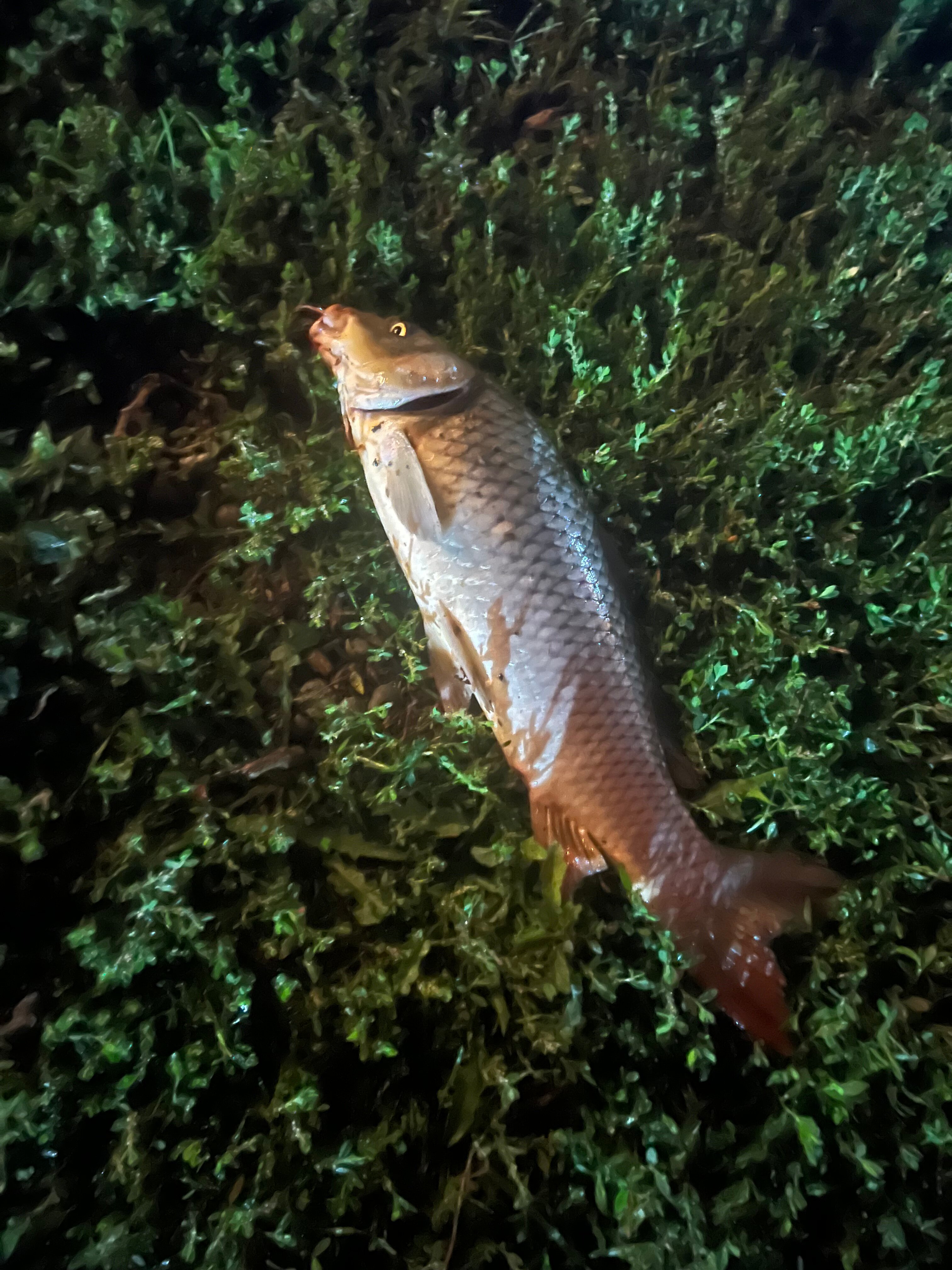 Фото Междуморье