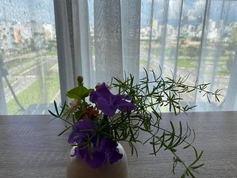 Фото DaNang Moon Villa & Apartment