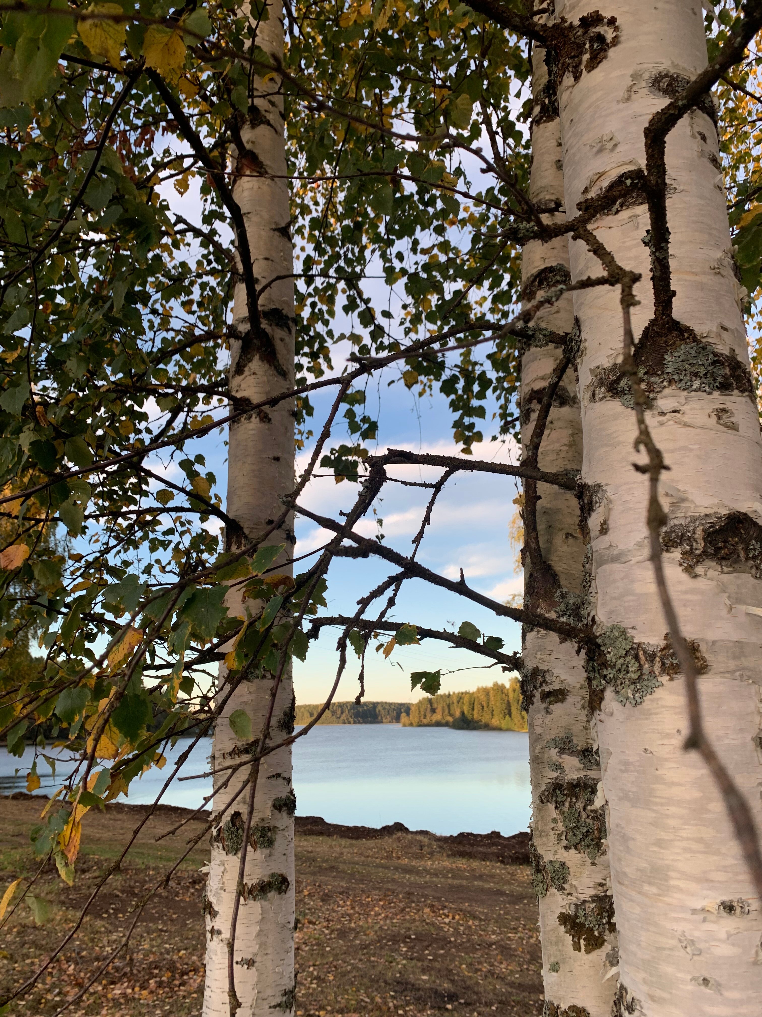 Фото Дом Валдай