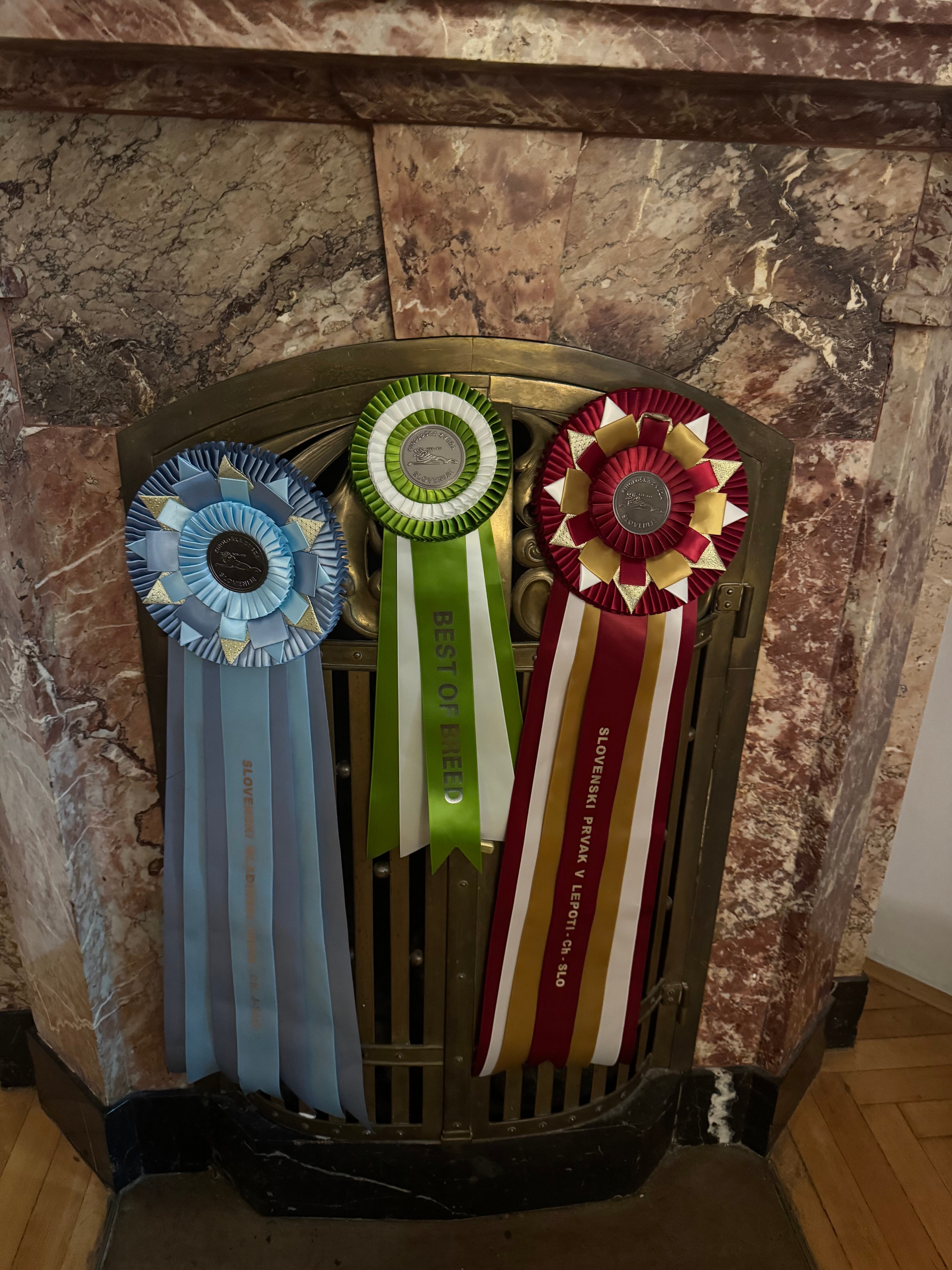 Фото Zois Apartments