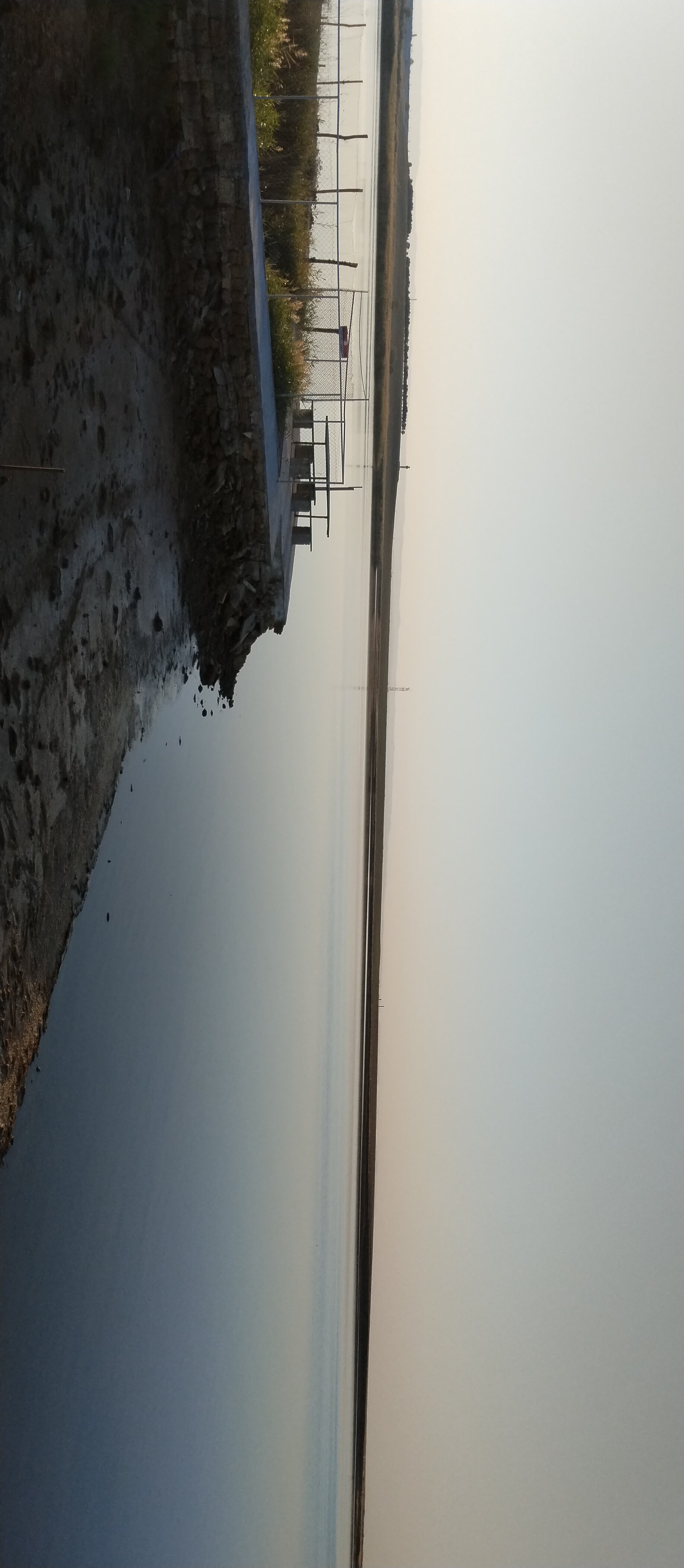 Фото Фрунзенец