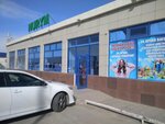 Tomy_shop (Satybaldıev kóshesi, 3) ، بيع منتجات الحيوانات الأليفة بالجملة