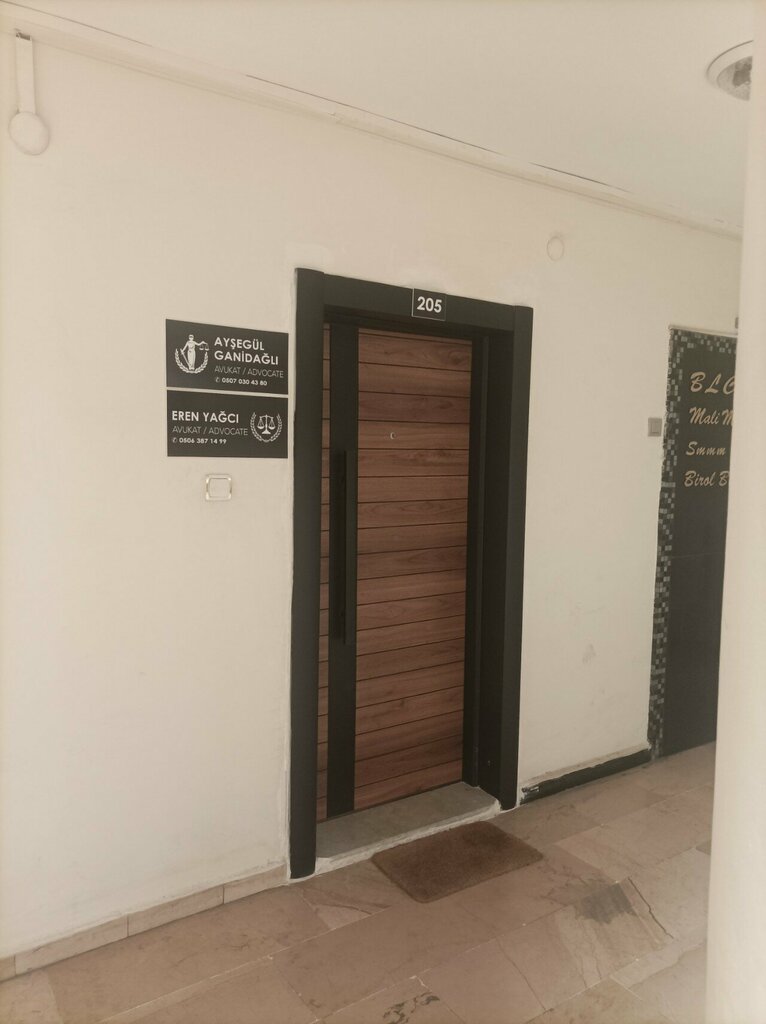 Attorney Aysegul Ganidagli, Antalya, photo