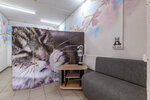 VIP dog (Glinki Street, 8А) ، صالون حيوانات أليفة
