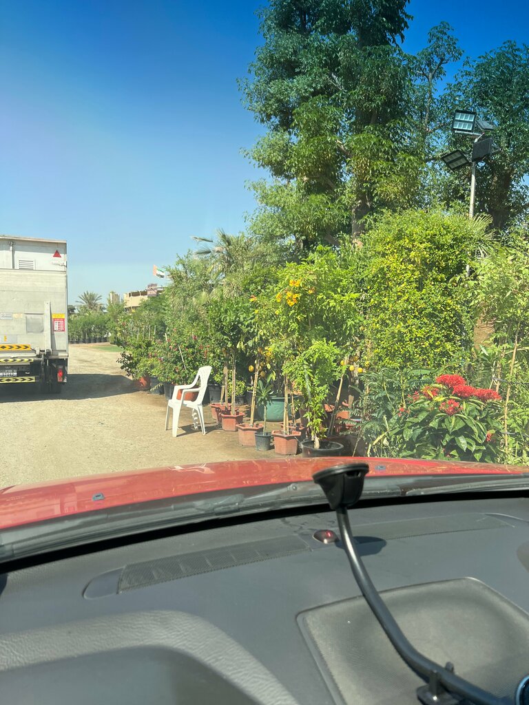 Plant nursery Naseem Al Bustan Trees & Annual Flowers, Dubai, photo