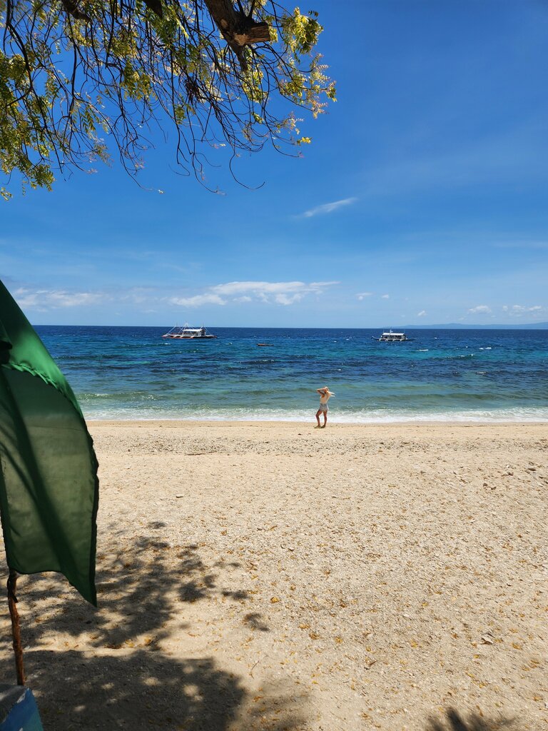 Supermarket Oslob Public Market, Province of Cebu, photo