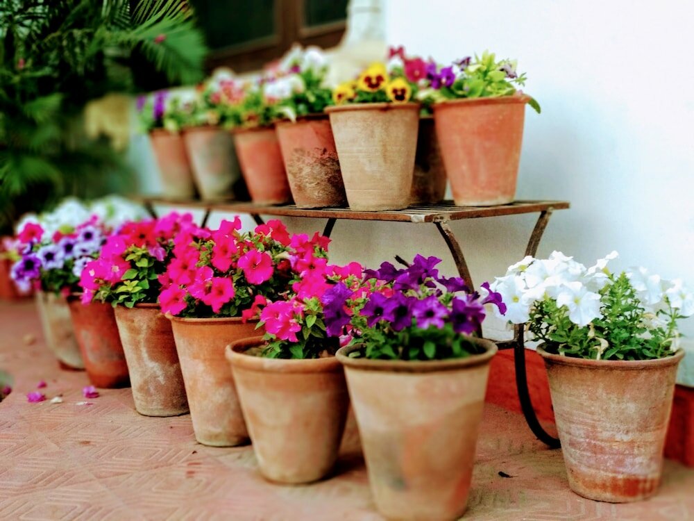 Фото Hotel Megh Niwas