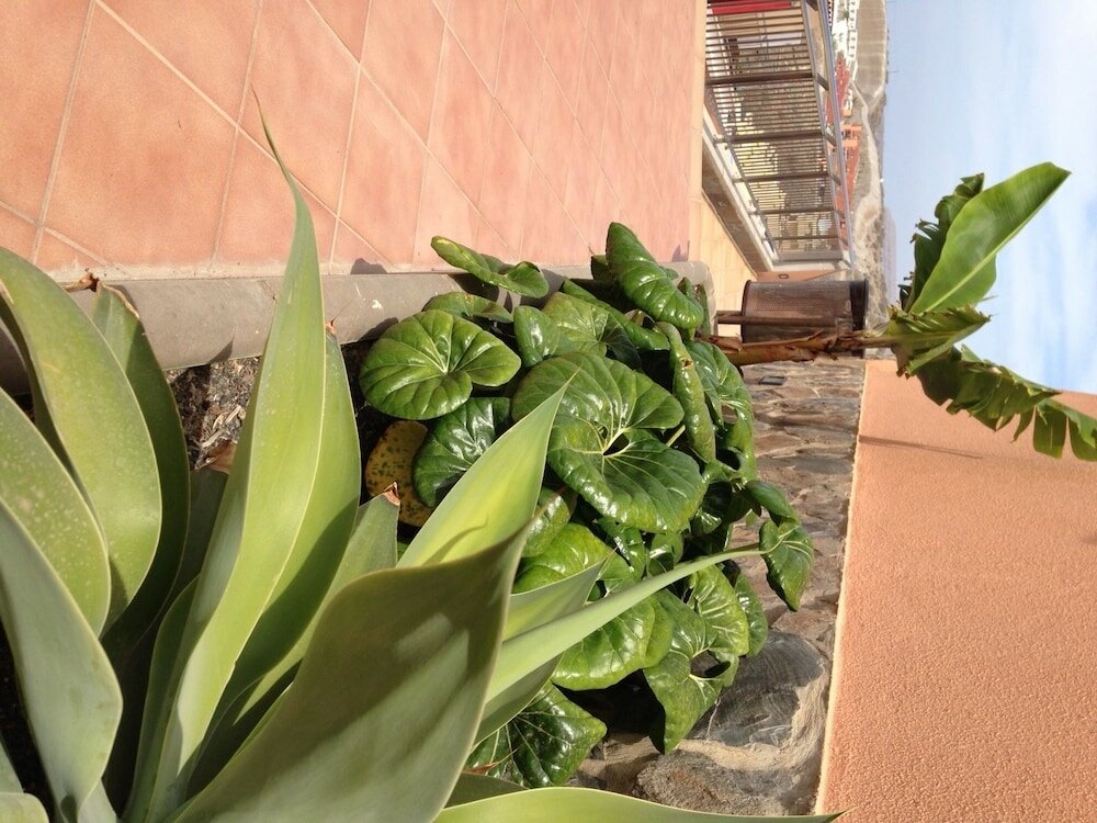 Фото Balcón del Mar