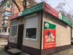 Seryshevsky (Zeyskaya Street, 141) ، محل بقالة